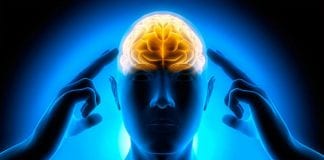 C’est le moment de votre transmutation rapide